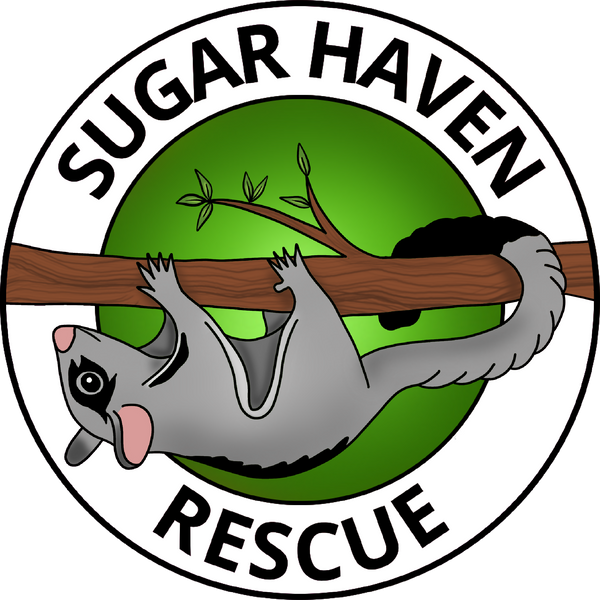 Sugar Haven Creations